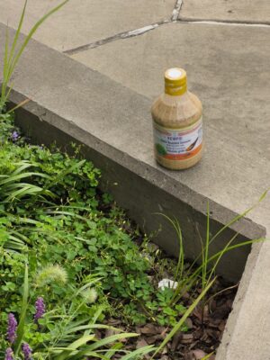 An abandoned bottle of salad dressing sits on the curb.