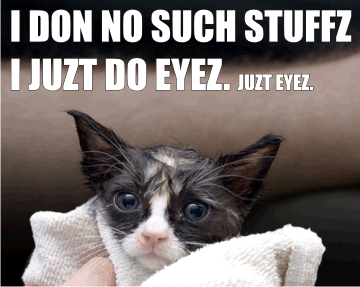 I don no such stuffz. I juzt do eyez. juzt eyez.