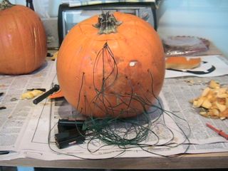 Back of pumpkin, showing wiring