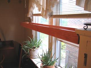 Plant Shelf in the Dining Room
