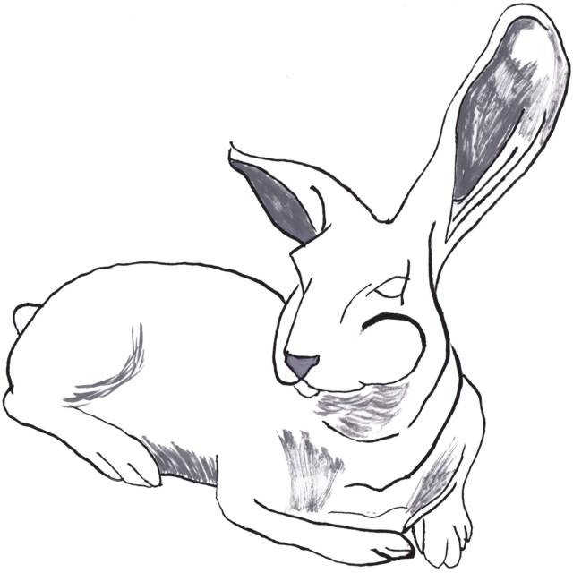 Rabbit Porcelain 01 02